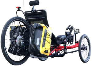 Long Distance Touring Recumbent Trike-Model 326