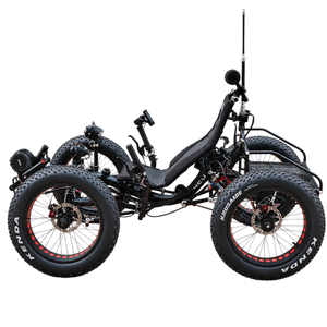 F420E 2WD & 4WD Electric Fat-Tire Recumbent Quad | TrikExplor