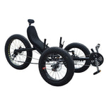 Fat Tire Folding Recumbent Trike-F010