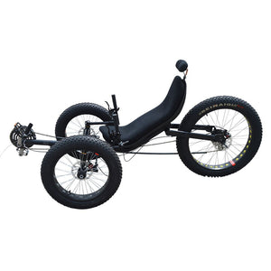 Fat Tire Folding Recumbent Trike-F010
